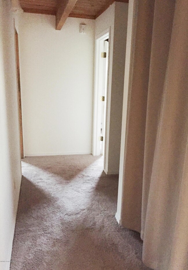 4 Hallway with carpet