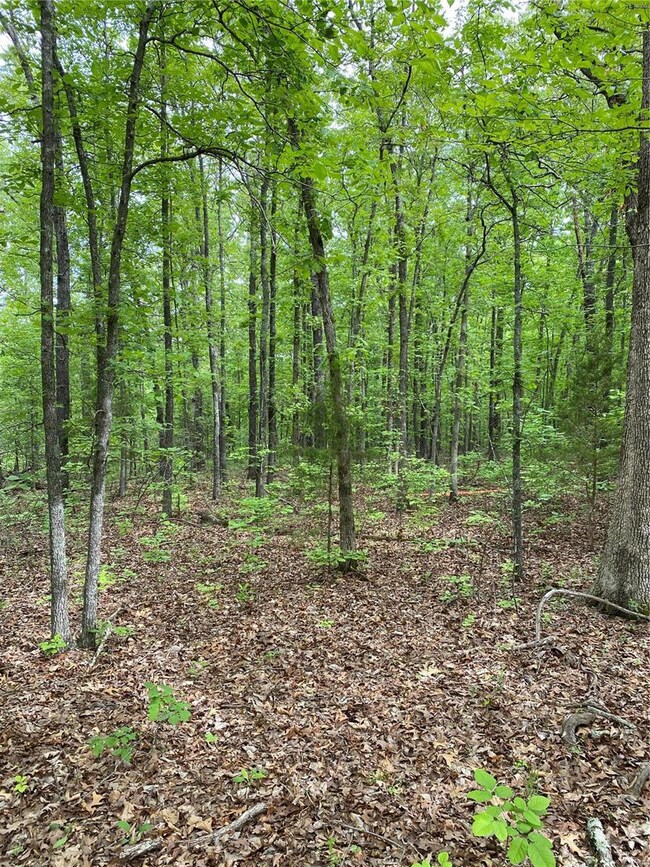 0 Hawksbill Dr, Cullen Township, MO 65459 - photo 6