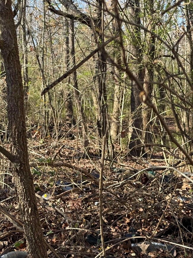 650 Person Rd, Oakland, TN 38060 - photo 5