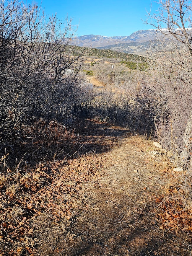 1064 E Tabby Access, Tabiona, UT 84072 - photo 5