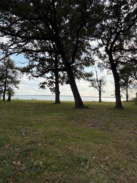 0 Nickerson Rd, West Livingston, TX 77351 - photo 3