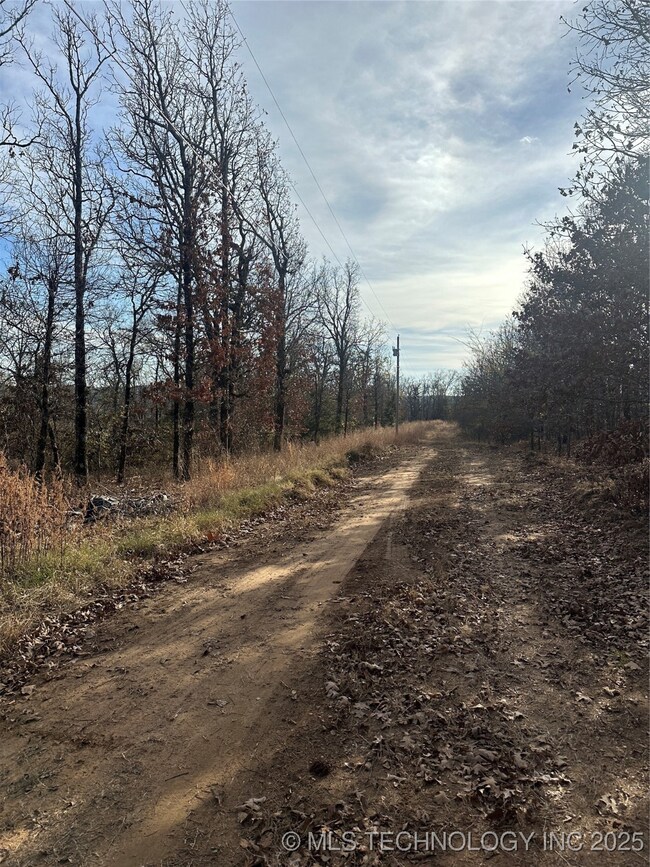0 S 4557 Rd, Vian, OK 74962 - photo 3