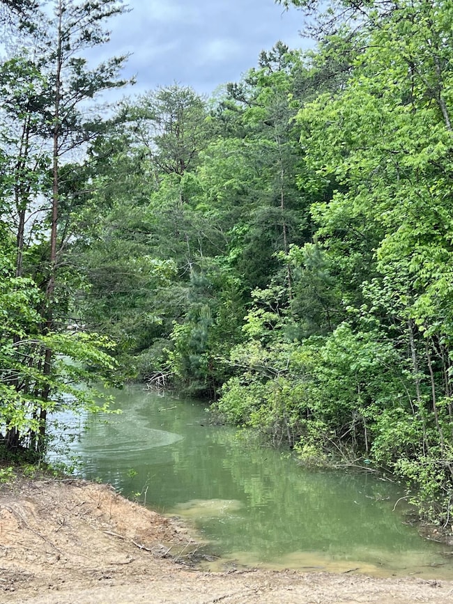 1801 Bootbluff Trail, Dandridge, TN 37725 - photo 6