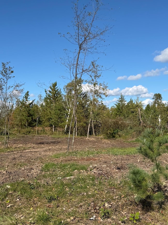 TBD Moonlight Ln SW, Bemidji, MN 56601 - photo 3