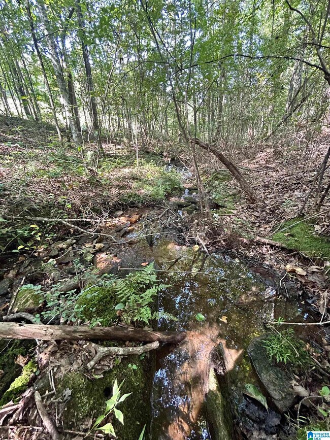 0 County Road 329 unit 9 21364080, Wedowee, AL 36278 - photo 3