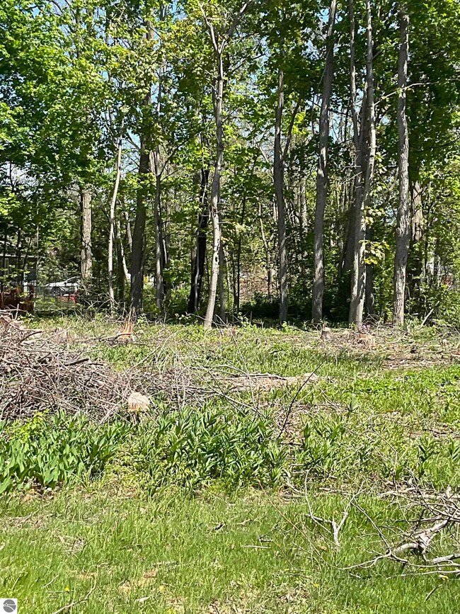 139 Brand St, Elk Rapids, MI 49629 - photo 3