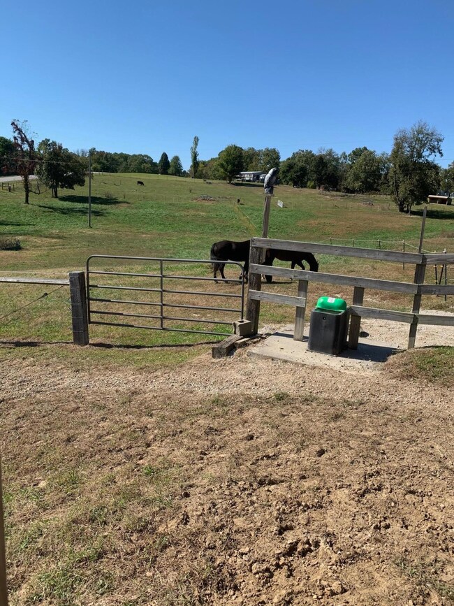 Pasture