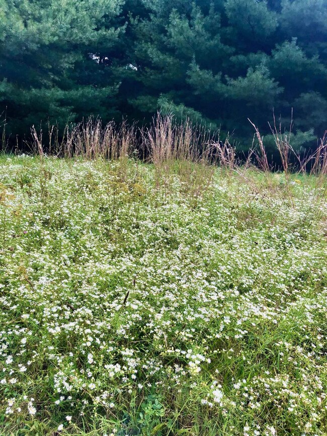 3 Kendrick Hill Rd, Wilton, NY 12866 - photo 6