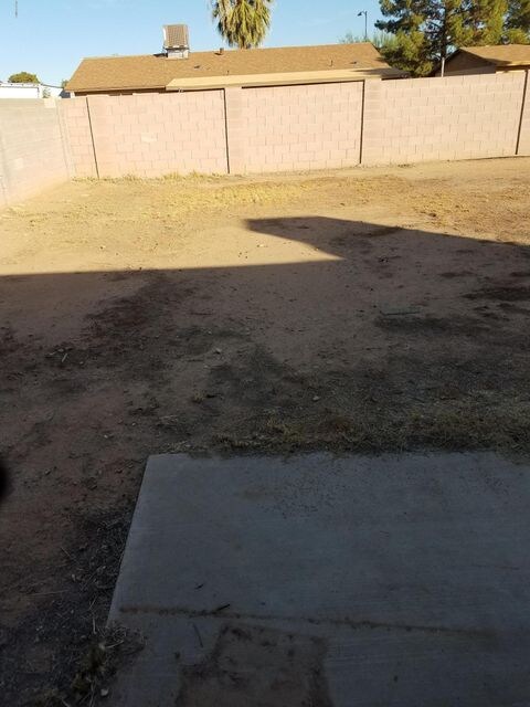 Lewis - Backyard 2