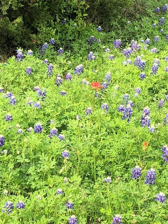 36008 Cedar View Dr, Whitney, TX 76692 - photo 6