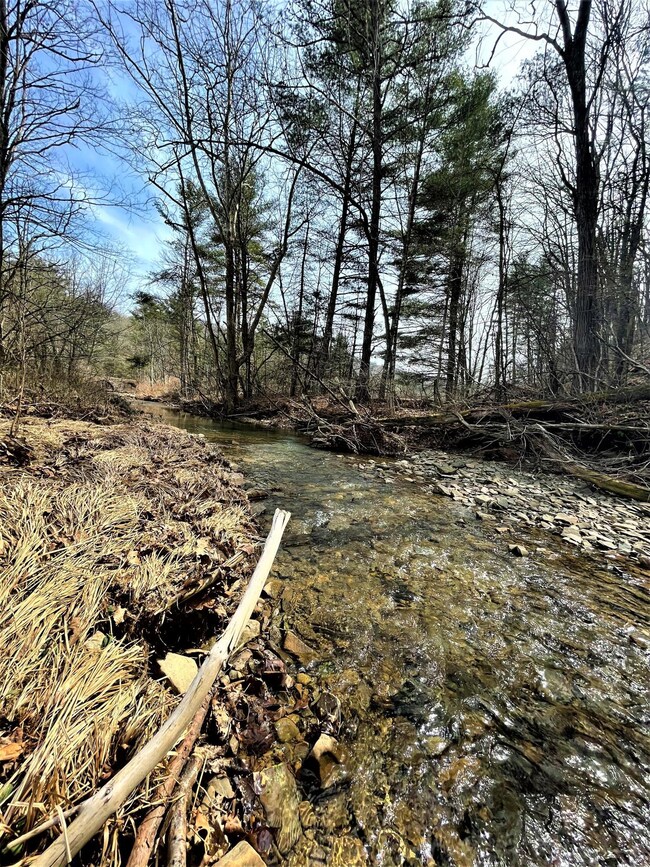 Anthony Creek