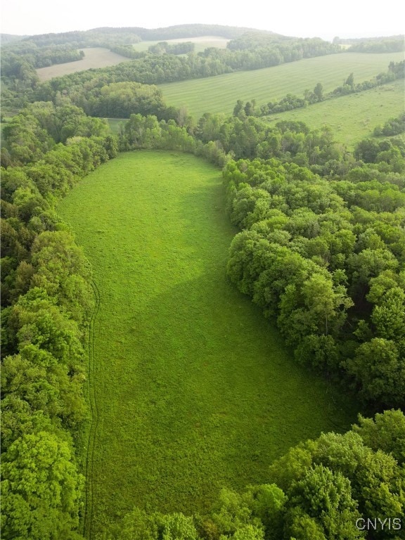 0 Searls Rd unit S1612623, Cortland, NY 13045 - photo 6