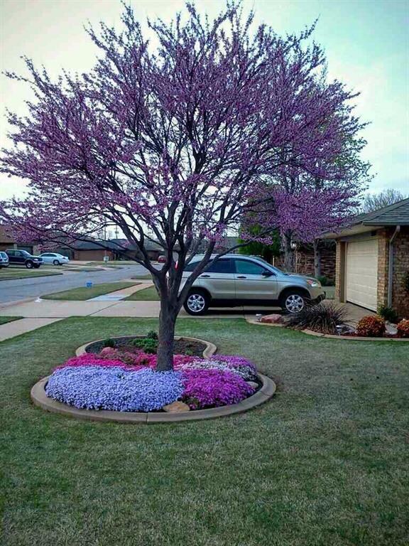 Spring Time view of Front Yard