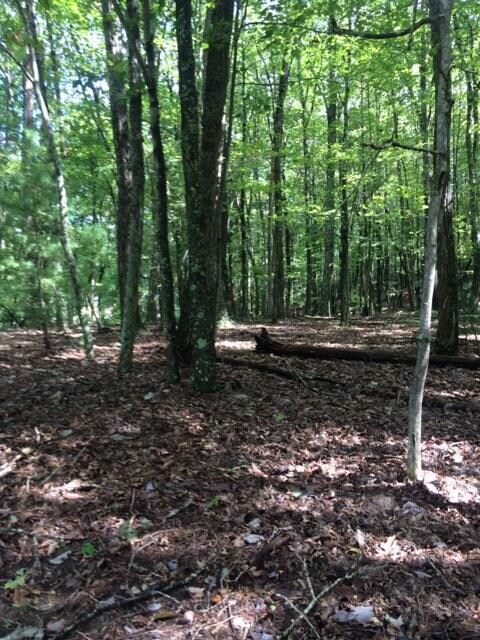 114 Greenbrier Rd unit 14, Daniels, WV 25832 - photo 4