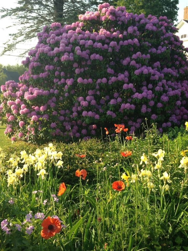 1450 Harpswell Neck Rd, Harpswell, ME 04079 - photo 5