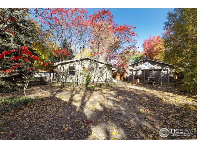 7915 Neva Rd, Niwot, CO 80503 - photo 5