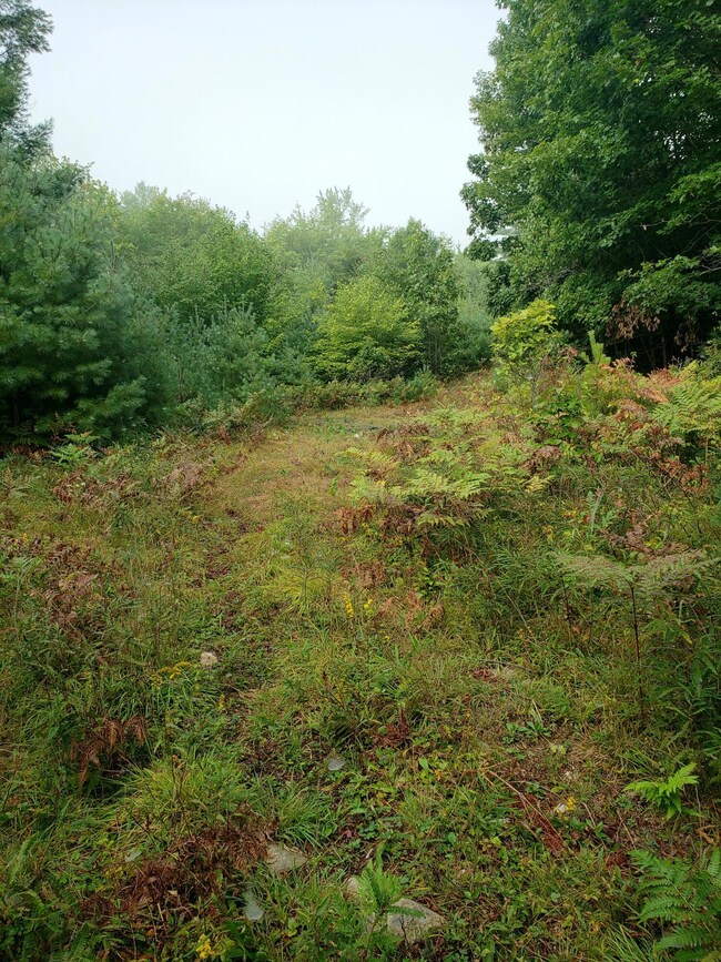 Trail well into the land