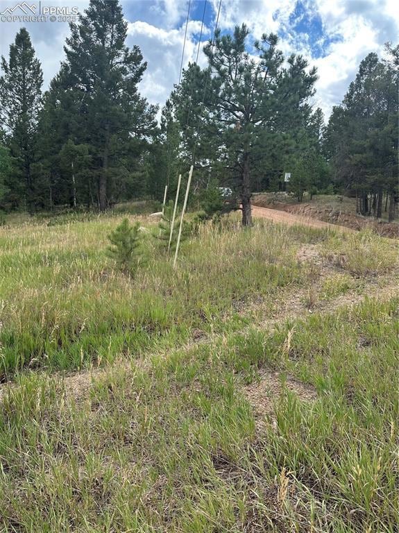 17 and 33 Deer Ridge Trail, Florissant, CO 80816 - photo 4