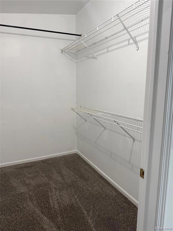 Spacious closet with dark colored carpet