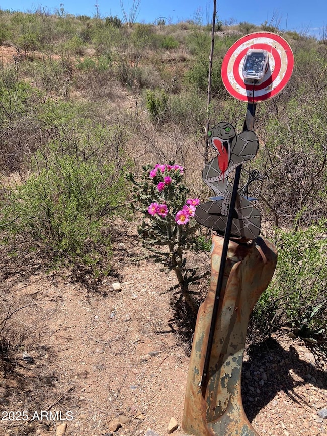 130 N 7th St unit 13, Tombstone, AZ 85638 - photo 7