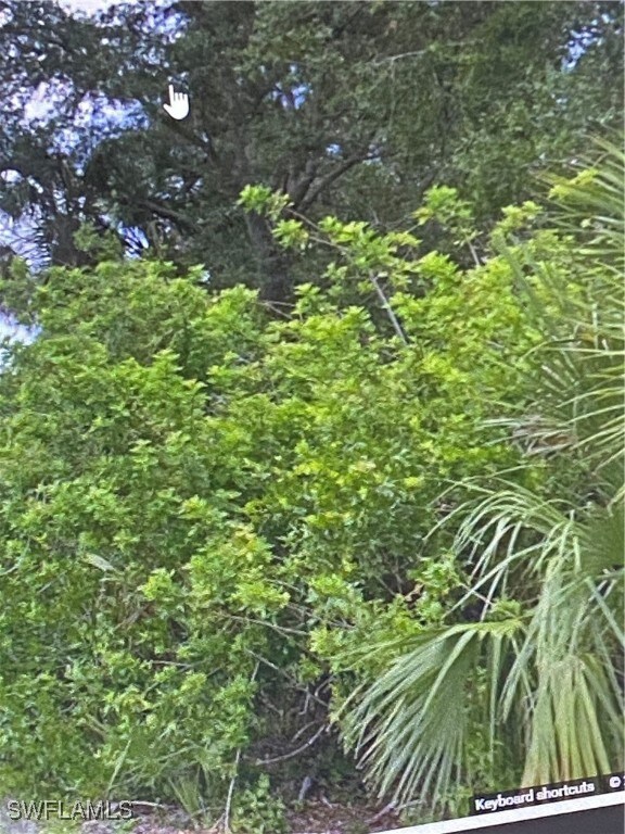 View of undeveloped land