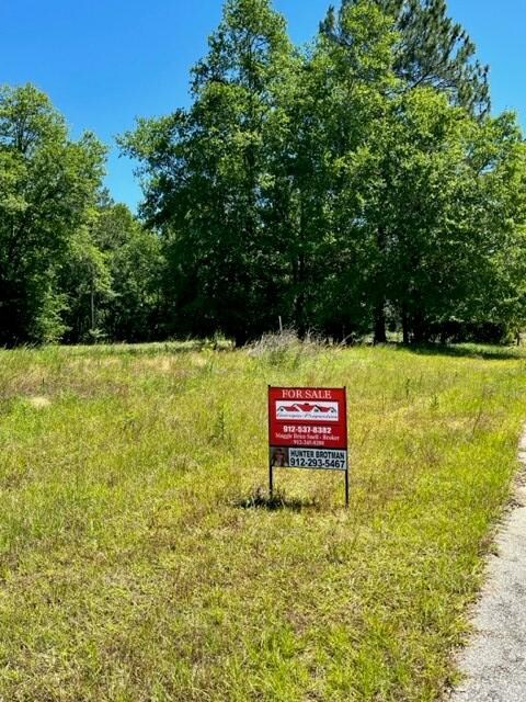 00 Hidden Hills Dr, Vidalia, GA 30474 - photo 4