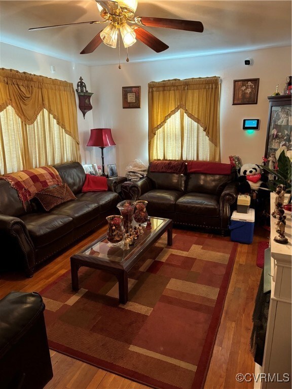Living room featuring plenty of natural light, har