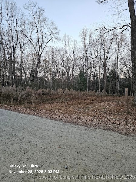 161 Bay St, Fuquay Varina, NC 27526 - photo 4