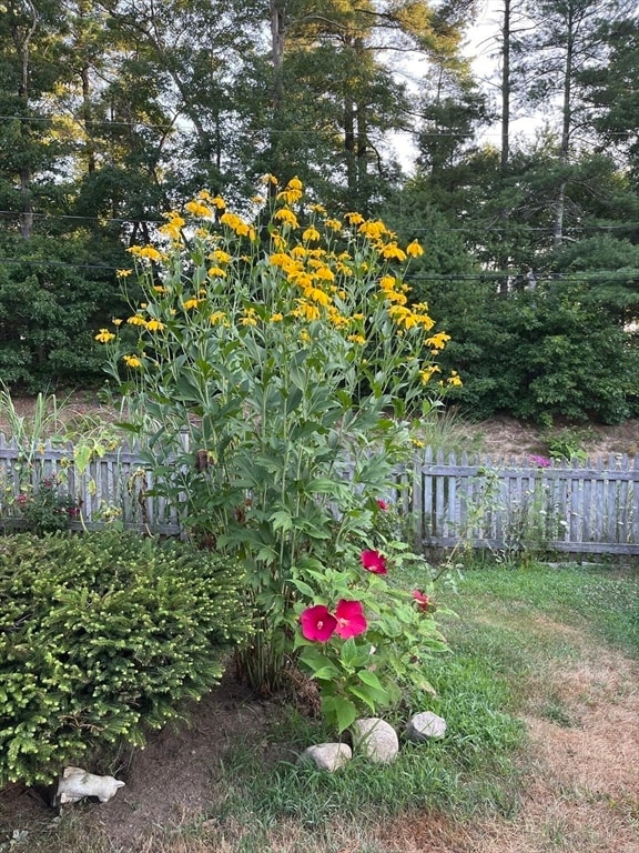 5 Terry Ln, Bridgewater, MA 02324 - photo 7