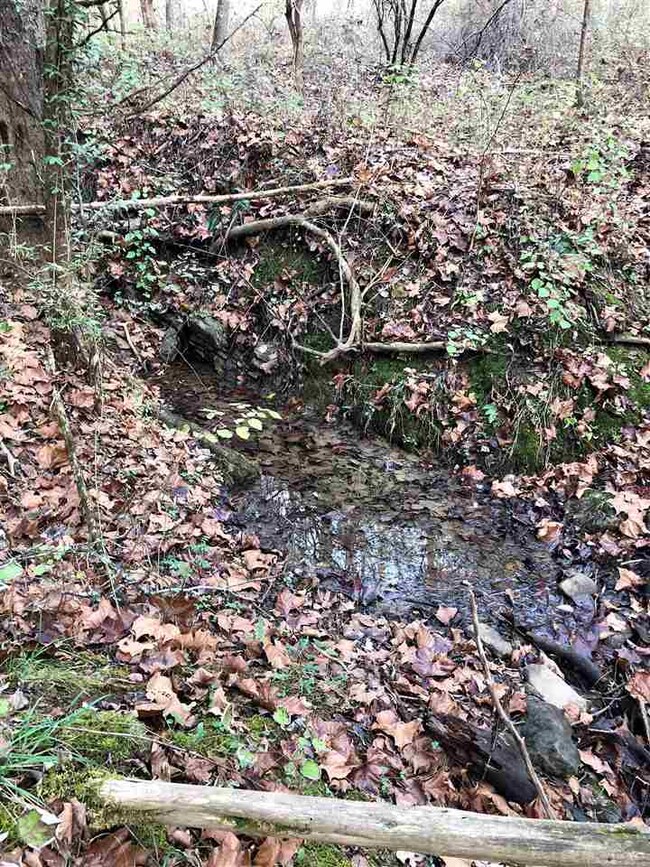 0 Forest Grove Rd unit 569410, Lexington, VA 24450 - photo 4