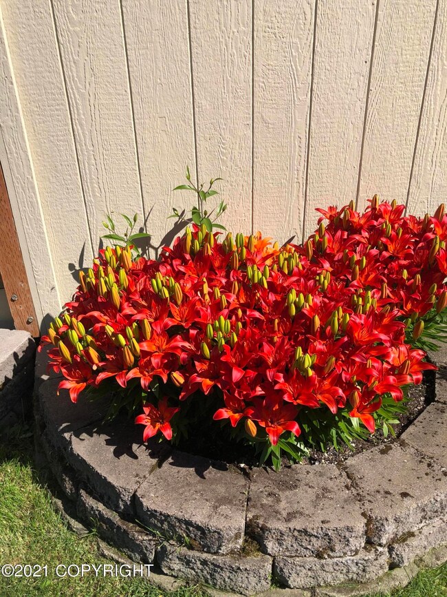 1600 Woodroe Ln unit 63, Anchorage, AK 99507 - photo 3