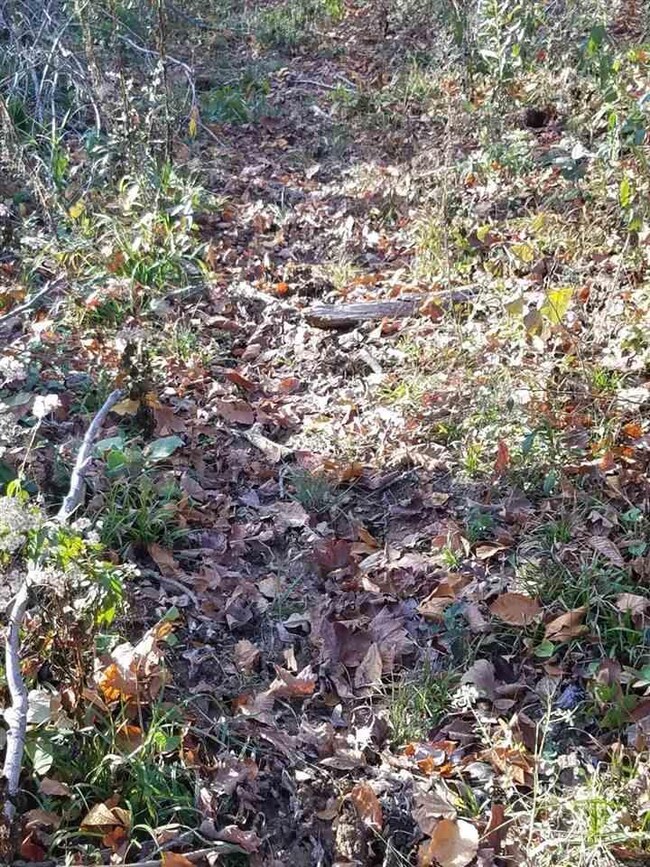 3553 E Coen Rd, Bloomfield, IN 47424 - photo 5