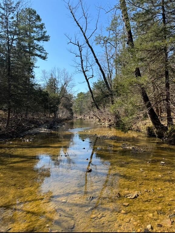 155 Charmed Ridge Ln, Hochatown, OK 74728 - photo 4