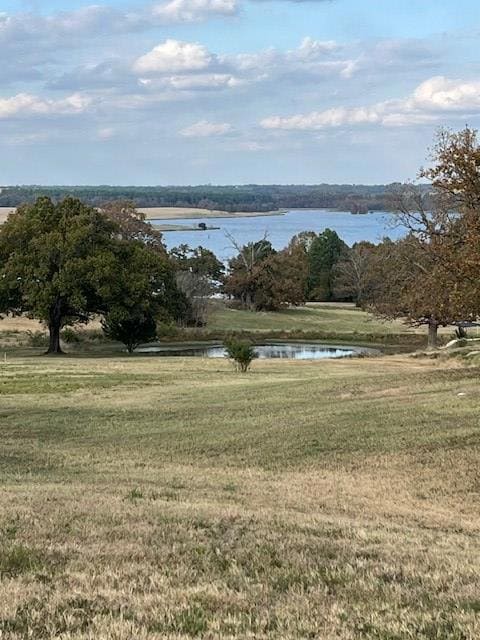 6264 Overlook Point, Athens, TX 75752 - photo 2