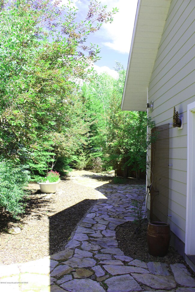 carlsonbackyard