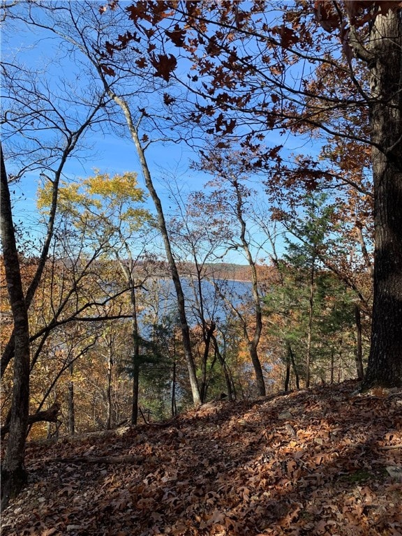 4.32 AC Barzel Point Rd, Rogers, AR 72756 - photo 3