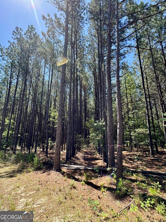 0 Sheppard Rd unit 10545353, Tennille, GA 31089 - photo 4