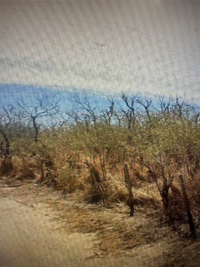 TBD County Road 310, Mathis, TX 78368 - photo 3