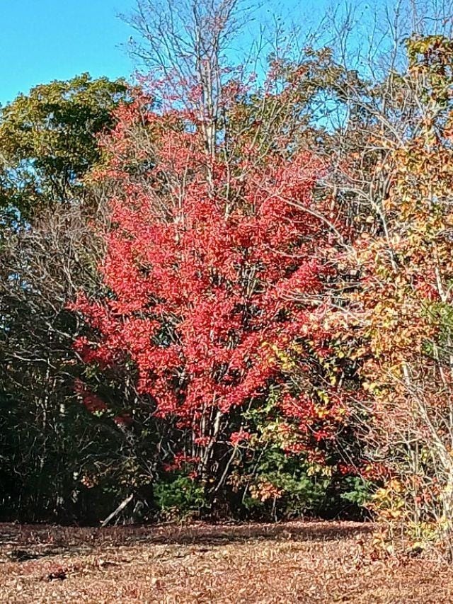 000 Thistle Rd unit 48, Gilmanton, NH 03237 - photo 7