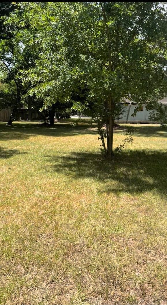 8702 Congo Ln, Houston, TX 77040 - photo 3