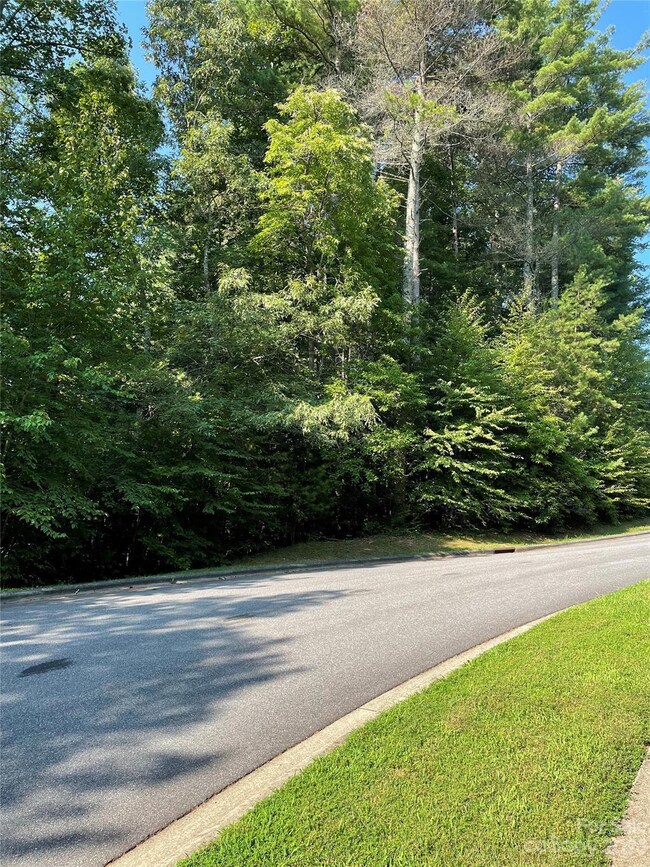 V48&49 Camptown Rd unit V48&49, Brevard, NC 28712 - photo 2