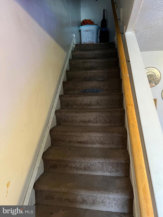 113 Whitely Terrace, Darby, PA 19023 - photo 7