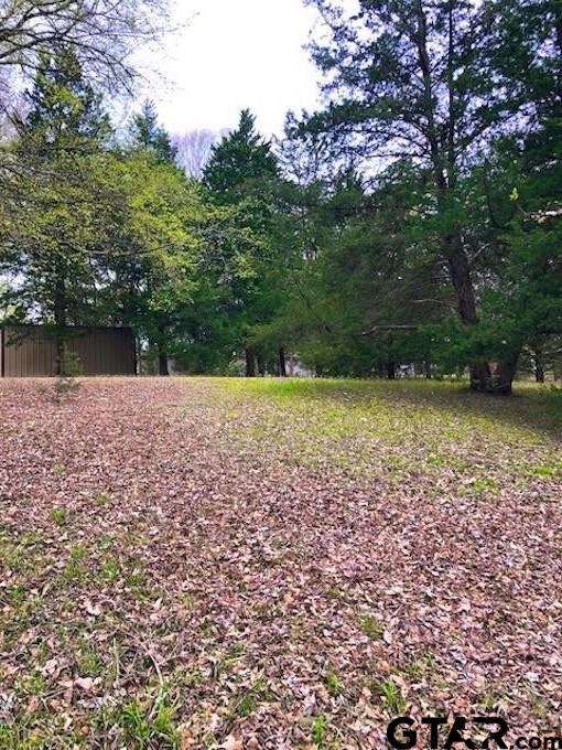 16239 County Road 285, Tyler, TX 75707 - photo 4