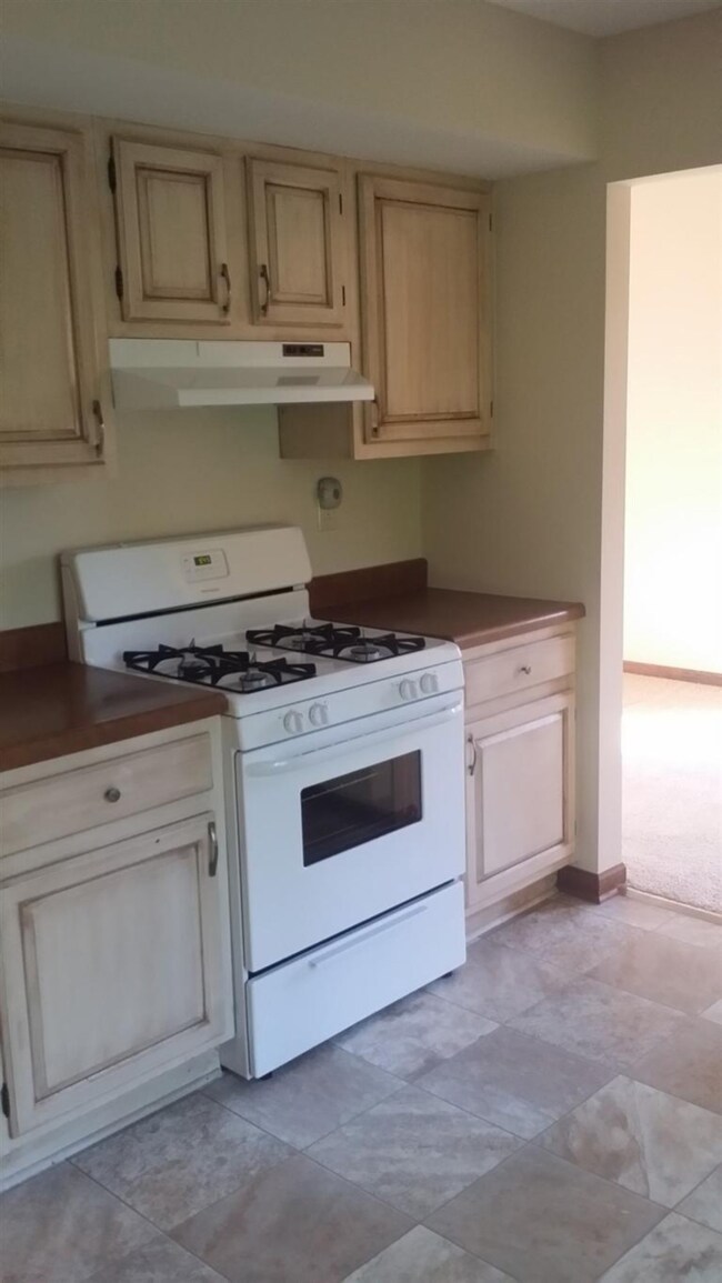 1917 W 99th Ave, Crown Point, IN 46307 - photo 3