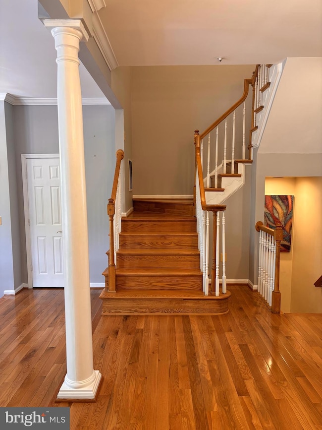 14102 Red Eagle Ln, Silver Spring, MD 20906 - photo 7