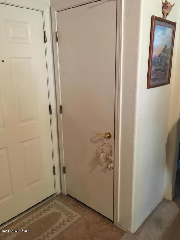 front door and coat closet