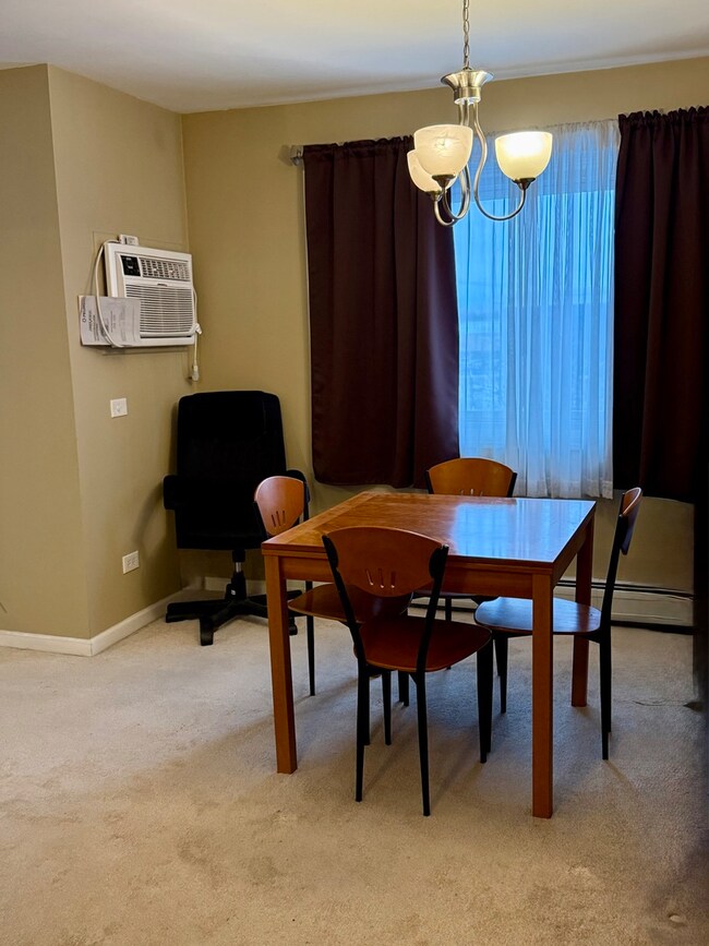 37 N Main St unit 40, Glen Ellyn, IL 60137 - photo 5