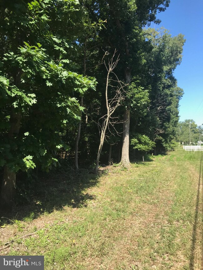 5942 Colchester Rd, Clifton, VA 20124 - photo 2