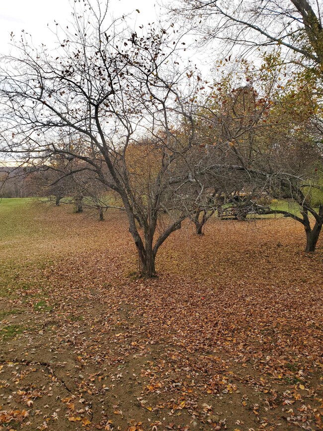 20201030_152112