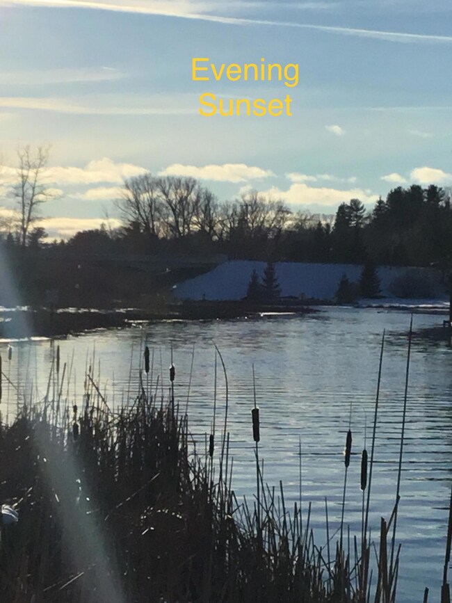 Evening Sunset